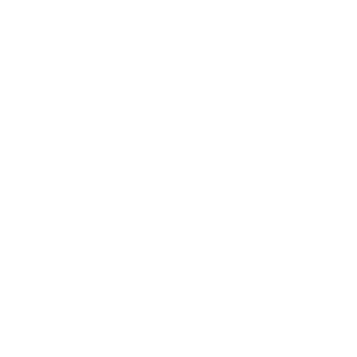 brain